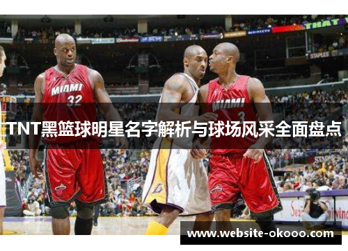 TNT黑篮球明星名字解析与球场风采全面盘点