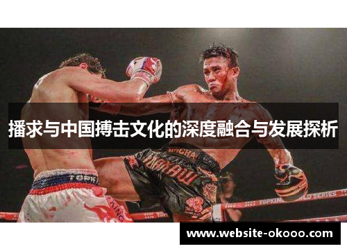 播求与中国搏击文化的深度融合与发展探析